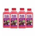 Ambiclean Flüssigentkalker