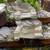 Amur Quellbach I