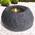 7-GB021108-5 von Amur