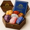Premium 7 Chakra Kristalle von Anima
