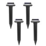 Anirepur Maulwurfschreck