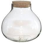 Annastore Pflanz-Terrarium Enna