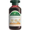 Shampoo Kamille von Antica Erboristeria