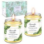 Aottom Citronella Kerze im Glas-2 Pack