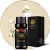 Aromatherapie Jasminöl von Aphrosmile