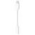 Apple Lightning auf 3,5 mm Adapter