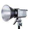 AAM100DEU von Aputure