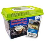 AQ4 Triops longicaudatus