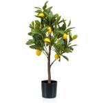 Artplants.de Kunst Zitronenbaum