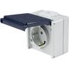 Aufputz-Steckdose 1-fach 62460 von as - Schwabe