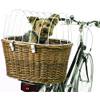Hundefahrradkorb hinten von Aumüller