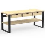 AUPROTEC Profi-Werkbank