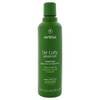 Be Curly Advanced Shampoo von AVEDA