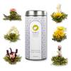 Teeblumen-Mix Flower Fantasy von Tea Exclusive