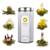 Tea Exclusive Teeblumen-Mix Flower Fantasy