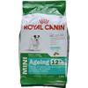 Mini Ageing von Royal Canin