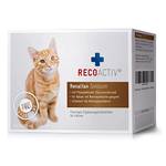 Recoactiv Renaltan Tonikum/Tonicum für Katzen