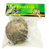 Rose von Jericho von Lucky Reptile