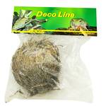 Lucky Reptile Rose von Jericho