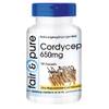Cordyceps von Fair & Pure