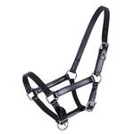 Qhp Warmblut-Fohlenhalfter