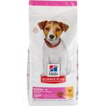 Hill's Puppy under 1