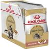 Maine Coon Adult von Royal Canin