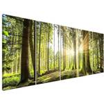 Murando c-C-0177-b-n