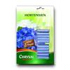 Hortensien Düngestäbchen von Chrysal