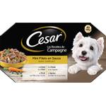 Cesar 358208