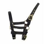 Rhinegold Fohlenhalfter