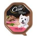 Cesar BF35D