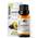 Avocado Premium Carrier Oil von SENSELAB