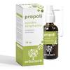 Propolis Spray von Erbotech