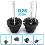 Inion 2x D2S _2MM_ W_ 02
