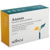 N052-3x von Nutracle