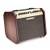 Fishman Mini-Bluetooth