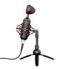 GXT 244 Buzz von Trust Gaming