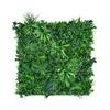 Pflanzenwand von urbanjungle
