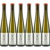 Scheurebe von Winkels-Herding