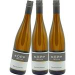 Weinkellerei Kopp Scheurebe