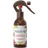 Botanica Duftspray Minze von Air Wick 