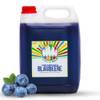 Hopser Food Fun Rainbow Slush Sirup Konzentrat von Hopser Food Fun 