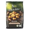 Bio Falafel mit Kräutern verfeinert von bioZentrale