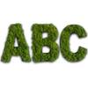 sG-Pi-BsIs-M-25-MG-KlPu-Amz von FlowerArt GmbH