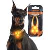 Leuchtband für Hunde von LaRoo