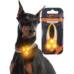 Laroo Leuchtband für Hunde