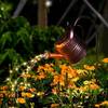 Solar-Gartendeko-Sternendusche von Lifemet