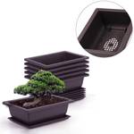 MissFox Bonsai-Schalen GA-MoD02