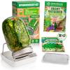 Bio Sprossenglas von ZenGreens
